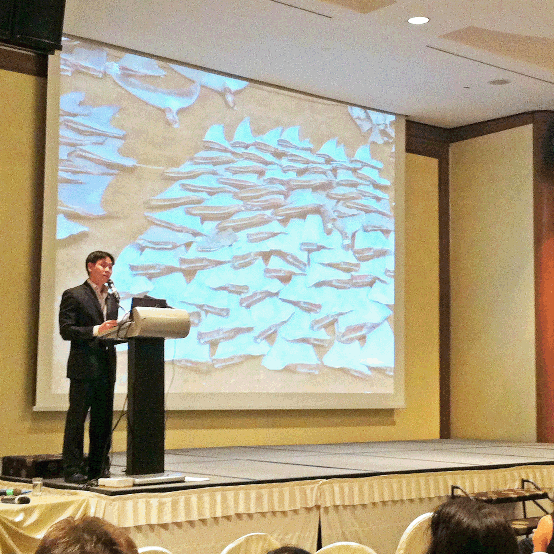 AFA Conference