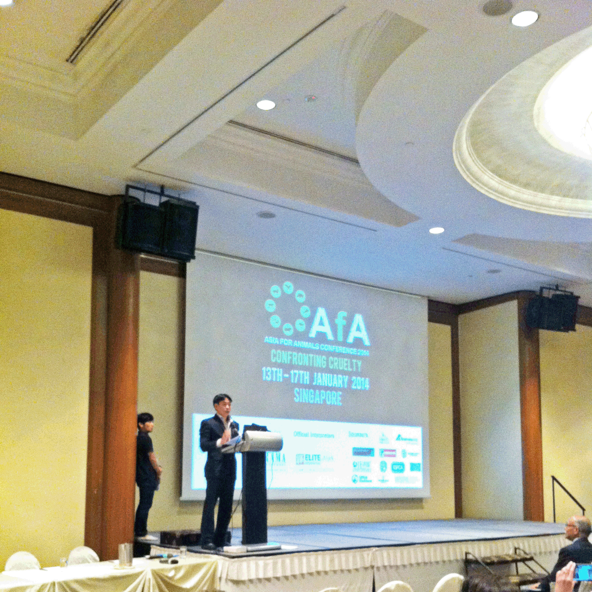 AFA Conference