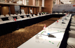 Elite Interpreters Asia CCS900 Mics